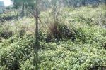 Land plot 2.000sqm for sale-Marousi