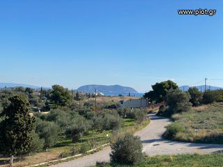 Μονοκατοικία 439 τ.μ. για πώληση, Αργολίδα, Κρανίδι-thumb-9