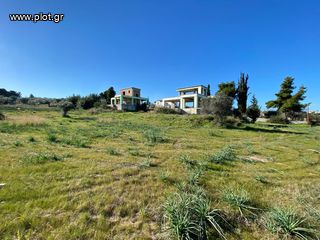 Μονοκατοικία 439 τ.μ. για πώληση, Αργολίδα, Κρανίδι-thumb-41