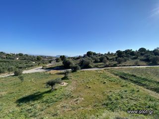 Μονοκατοικία 439 τ.μ. για πώληση, Αργολίδα, Κρανίδι-thumb-14