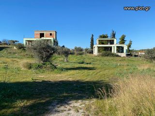Μονοκατοικία 439 τ.μ. για πώληση, Αργολίδα, Κρανίδι-thumb-27