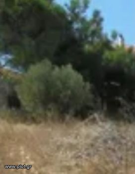 Οικόπεδο 900τ.μ. για πώληση-Γλυφάδα » Αιξωνή