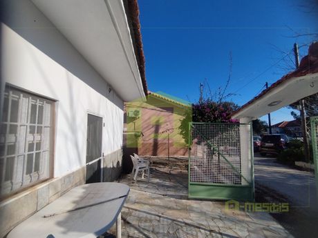 Μονοκατοικία 102τ.μ. για πώληση-Αιγιάλεια » Λόγγος