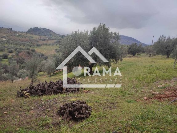 Parcel 11.000 sqm for sale, Achaia, Aigio