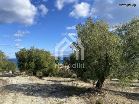 Αγροτεμάχια 10.941τ.μ. για πώληση-Κασσάνδρα » Κασσανδρηνό