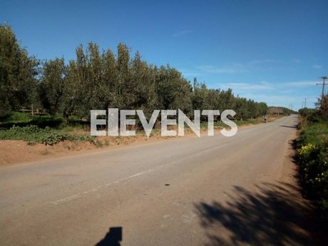 Parcel 11.500sqm for sale-Atalanti » Megaplatanos