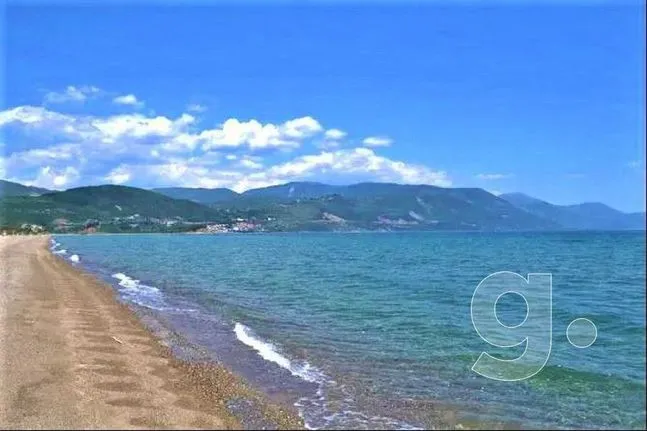 Land plot 14.800 sqm for sale, Fokida, Efpalio