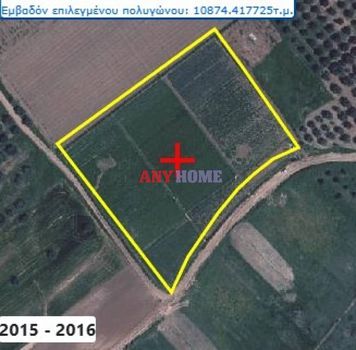 Αγροτεμάχια 11.000τ.μ. για πώληση-Τριγλία » Ελαιοχώρια
