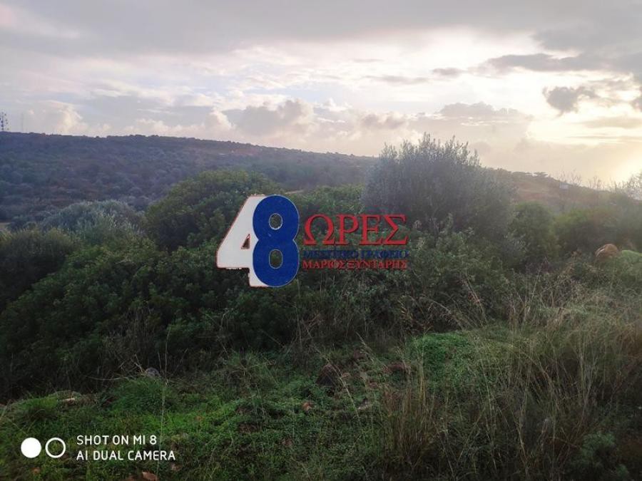 Αγροτεμάχια 2.163 τ.μ. προς πώληση, Πόλη Χίου