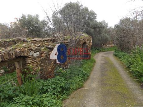 Οικόπεδο 2.551 τ.μ. για πώληση