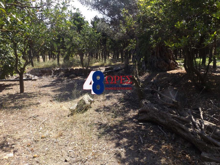 Οικόπεδο 2.234 τ.μ. προς πώληση, Καμποχώρια