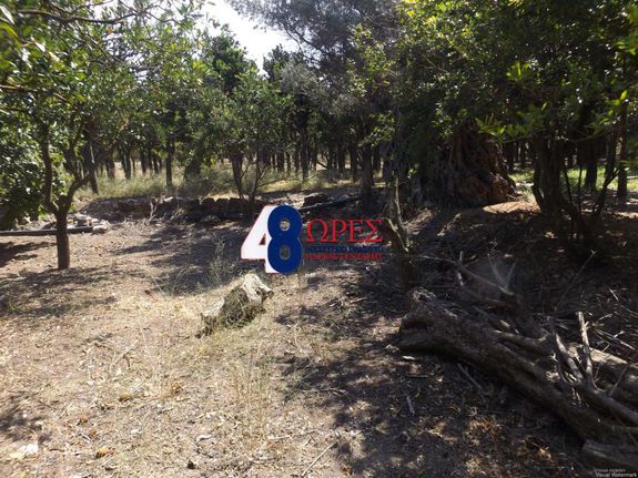 Οικόπεδο 2.234 τ.μ. για πώληση, Ν. Χίου, Χίος