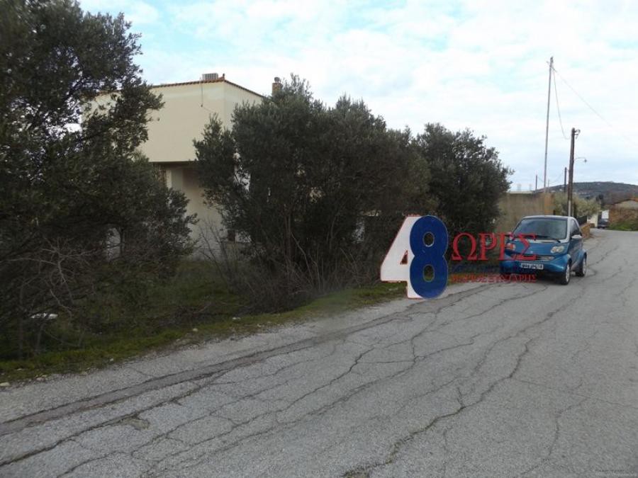 Οικόπεδο 1.050 τ.μ. προς πώληση, Άγιος Μηνάς Χίου