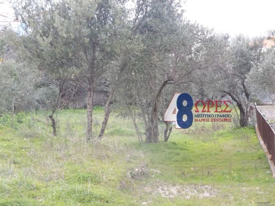 Οικόπεδο 1.050 τ.μ. προς πώληση, Άγιος Μηνάς Χίου