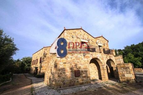 Ξενοδοχείο 600τ.μ. για πώληση-Χίος » Άγιος μηνάς