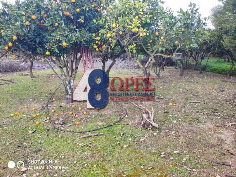 Οικόπεδο 4.332 τ.μ. προς πώληση, Πόλη Χίου