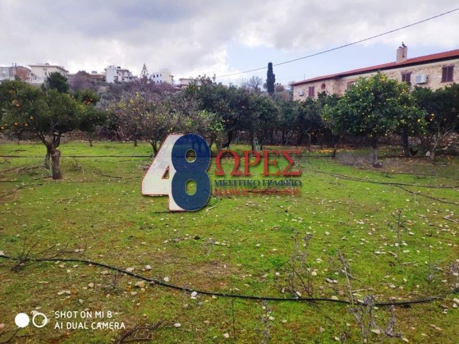 Οικόπεδο 4.332 τ.μ. προς πώληση, Πόλη Χίου
