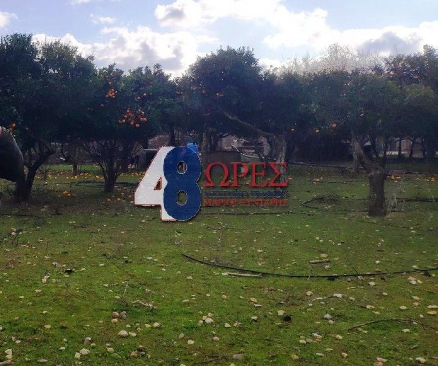 Οικόπεδο 4.332 τ.μ. προς πώληση, Πόλη Χίου