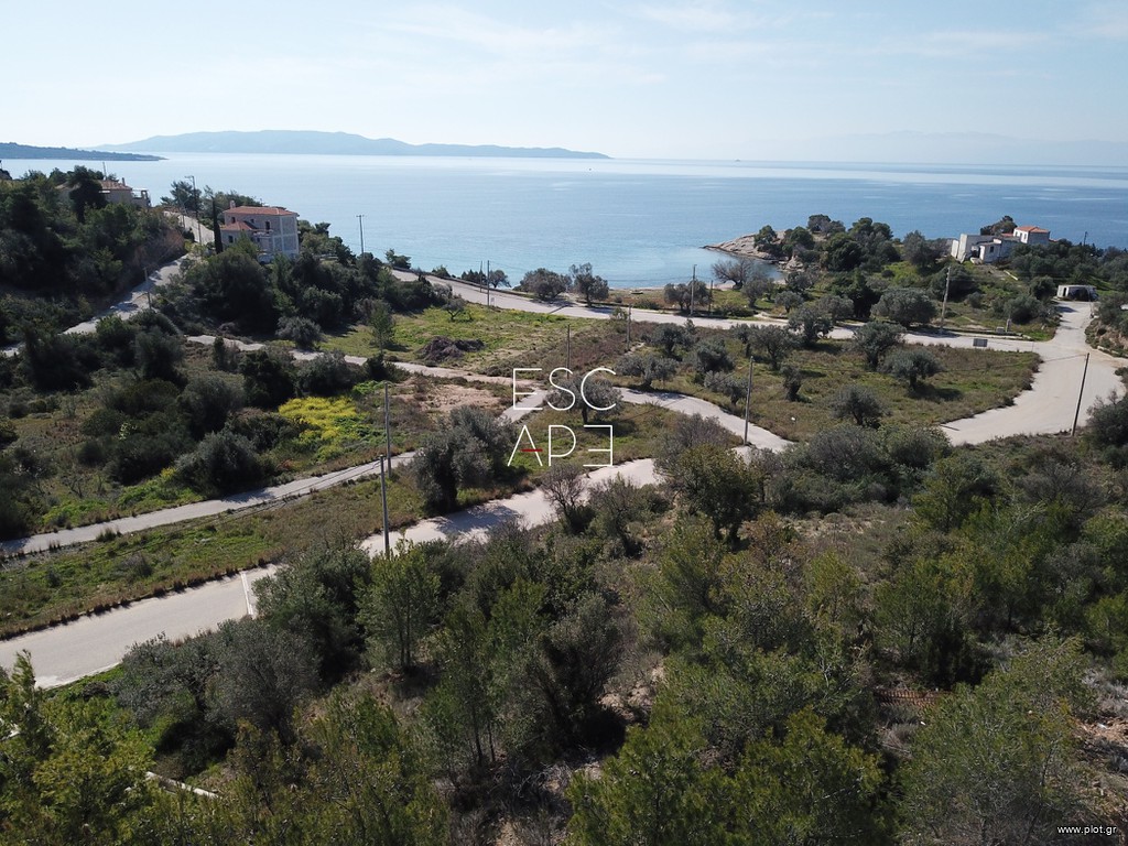 Οικόπεδο 430 τ.μ. προς πώληση, Βερβερούδα