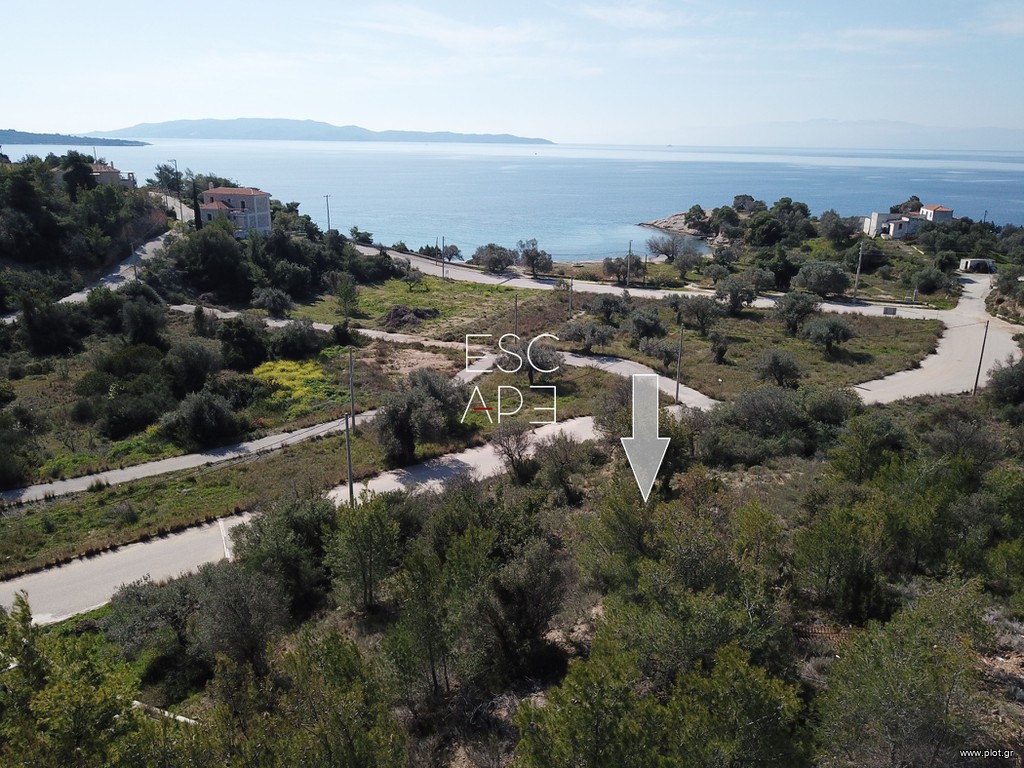 Οικόπεδο 430 τ.μ. προς πώληση, Βερβερούδα