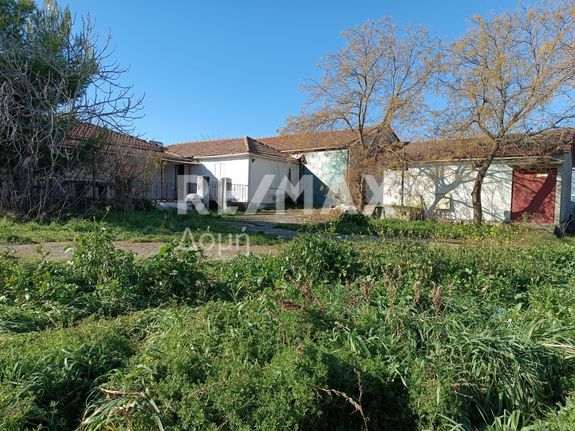 Detached home 478 sqm for sale, Larissa Prefecture, Polidamantas