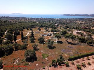 Οικόπεδο 4.050 τ.μ. για πώληση, Αργολίδα, Κρανίδι-thumb-1