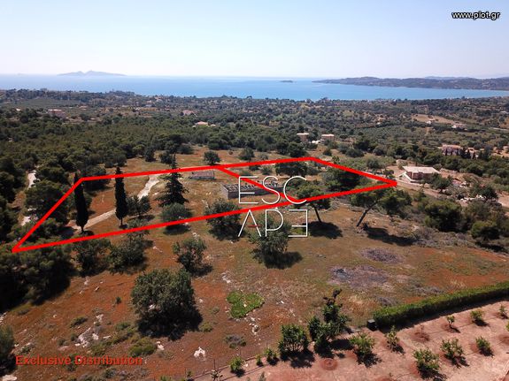 Οικόπεδο 4.050 τ.μ. για πώληση, Αργολίδα, Κρανίδι