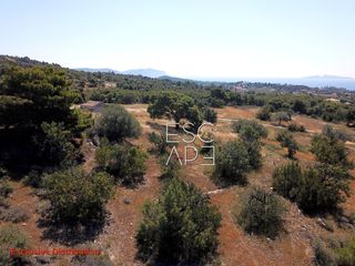 Οικόπεδο 4.050 τ.μ. για πώληση, Αργολίδα, Κρανίδι-thumb-8