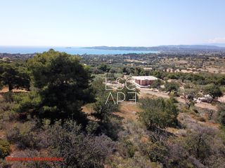 Οικόπεδο 4.050 τ.μ. για πώληση, Αργολίδα, Κρανίδι-thumb-5
