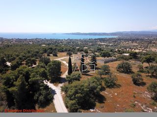 Οικόπεδο 4.050 τ.μ. για πώληση, Αργολίδα, Κρανίδι-thumb-10