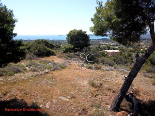 Οικόπεδο 4.050 τ.μ. για πώληση, Αργολίδα, Κρανίδι-thumb-11