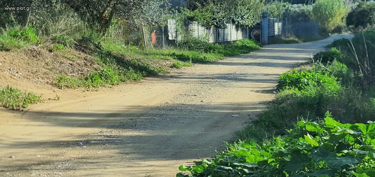 Αγροτεμάχια 6.536 τ.μ. για πώληση, Ν. Ηλείας, Πύργος