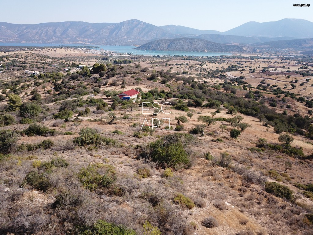 Οικόπεδο 13.790 τ.μ. προς πώληση, Δορούφι