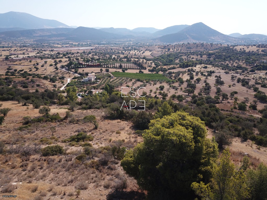 Οικόπεδο 13.790 τ.μ. προς πώληση, Δορούφι