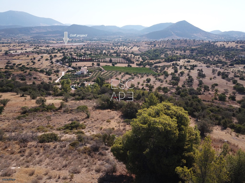 Οικόπεδο 13.790 τ.μ. προς πώληση, Δορούφι