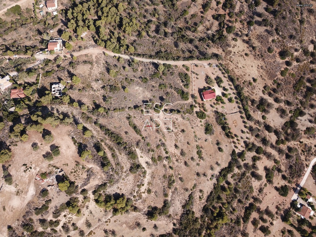 Οικόπεδο 13.790 τ.μ. προς πώληση, Δορούφι