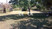 Detached home 92sqm for sale-Moudania » Portes
