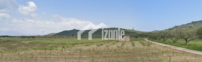 Land plot 1.068 sqm for sale, Zante, Alikes
