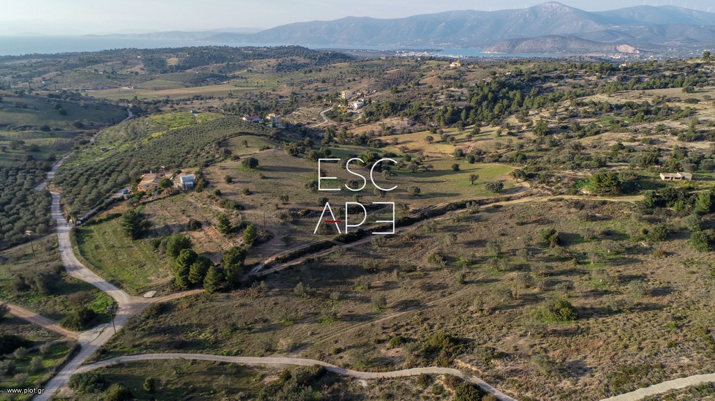 Οικόπεδο 20.000 τ.μ. προς πώληση, Κάμπος Κρανιδίου