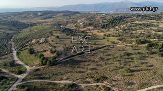 Οικόπεδο 20.000 τ.μ. για πώληση, Αργολίδα, Κρανίδι-thumb-2