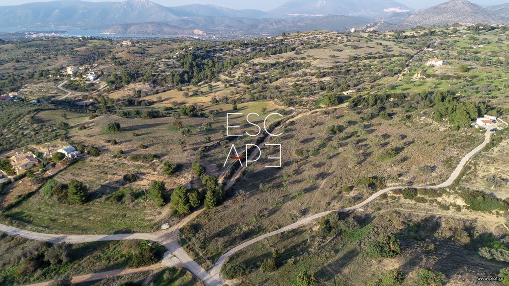 Οικόπεδο 20.000 τ.μ. προς πώληση, Κάμπος Κρανιδίου