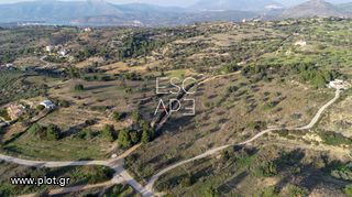 Οικόπεδο 20.000 τ.μ. για πώληση, Αργολίδα, Κρανίδι-thumb-3