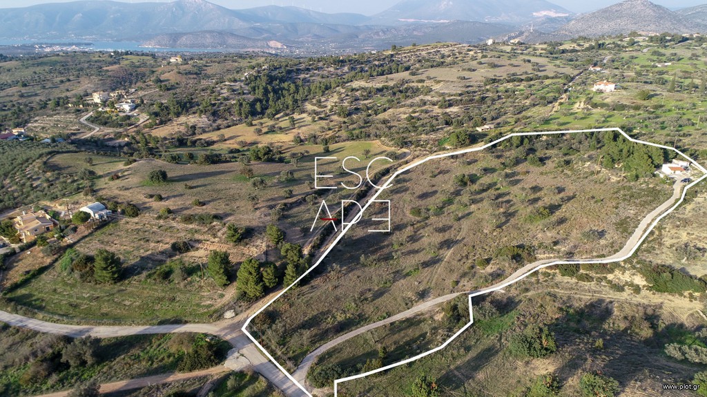 Οικόπεδο 20.000 τ.μ. προς πώληση, Κάμπος Κρανιδίου
