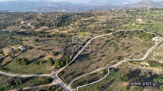 Οικόπεδο 20.000 τ.μ. για πώληση, Αργολίδα, Κρανίδι-thumb-4