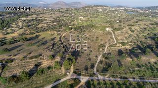 Οικόπεδο 20.000 τ.μ. για πώληση, Αργολίδα, Κρανίδι-thumb-5