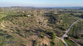 Οικόπεδο 20.000 τ.μ. για πώληση, Αργολίδα, Κρανίδι-thumb-7