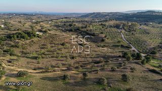 Οικόπεδο 20.000 τ.μ. για πώληση, Αργολίδα, Κρανίδι-thumb-8