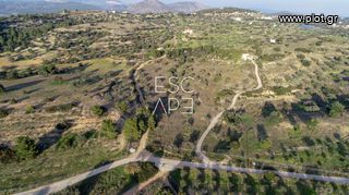 Οικόπεδο 20.000 τ.μ. για πώληση, Αργολίδα, Κρανίδι-thumb-10