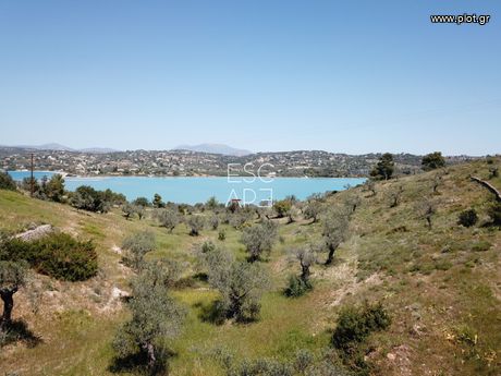 Οικόπεδο 20.000 τ.μ. για πώληση
