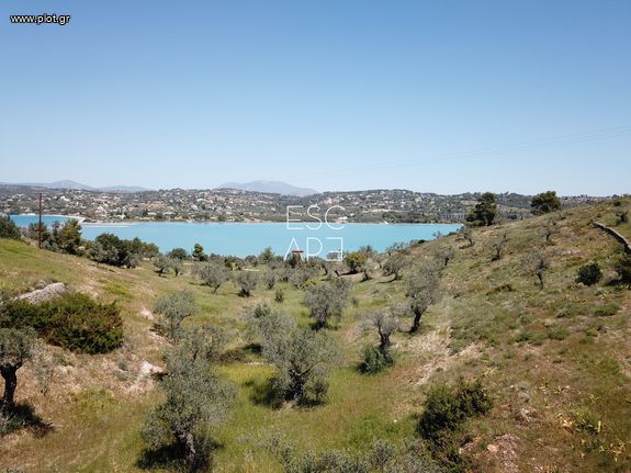 Οικόπεδο 20.000 τ.μ. για πώληση, Αργολίδα, Κρανίδι